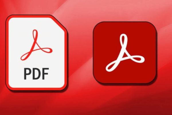 Acrobat Pro